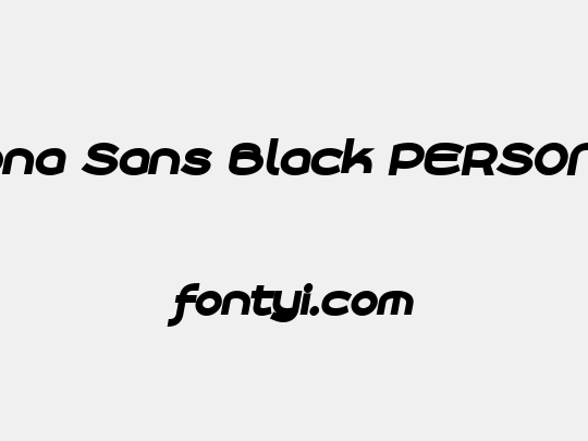 Roona Sans Black PERSONAL