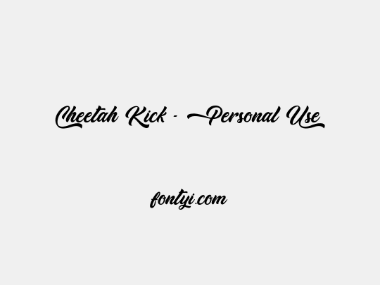 Cheetah Kick - Personal Use