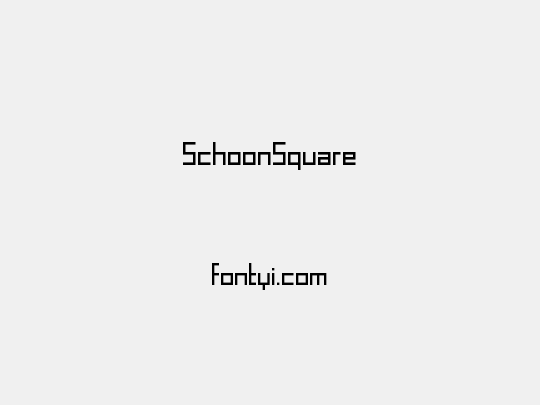 SchoonSquare