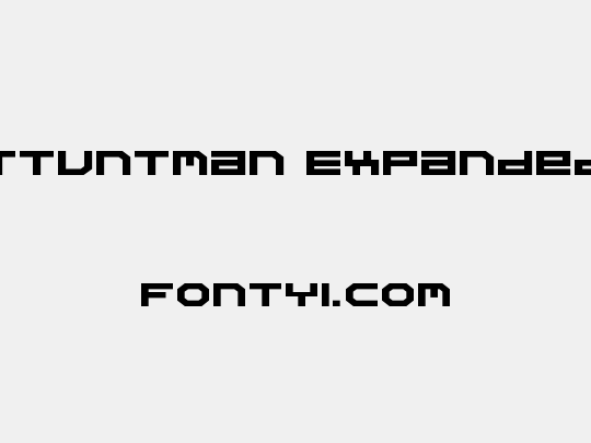 Stuntman Expanded