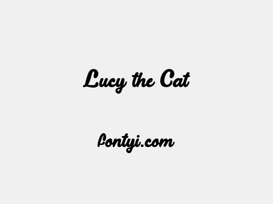 Lucy the Cat