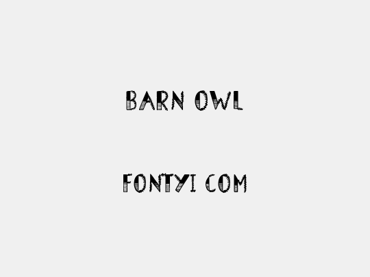 Barn Owl