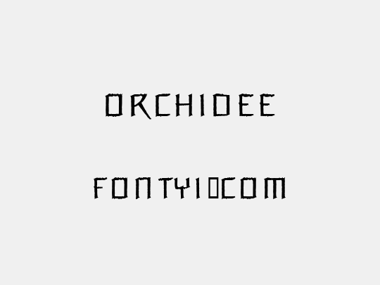 Orchidee