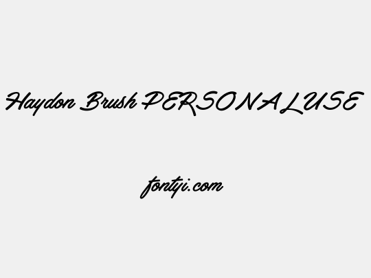 Haydon Brush PERSONAL USE