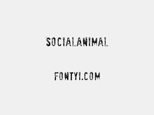SociaLAnimaL