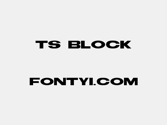 TS Block