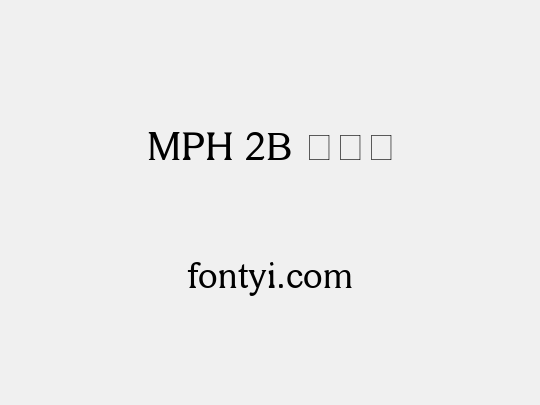 MPH 2B 大妈贼