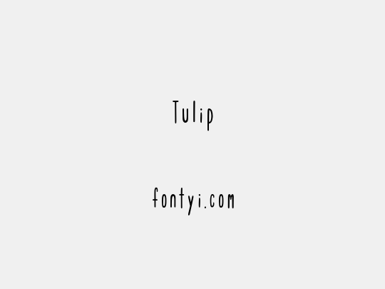 Tulip