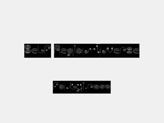 self-region-inverse