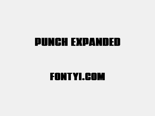 Punch Expanded