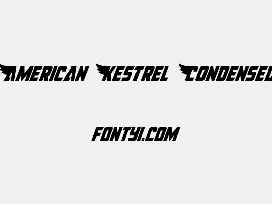 American Kestrel Condensed