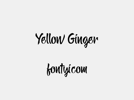 Yellow Ginger