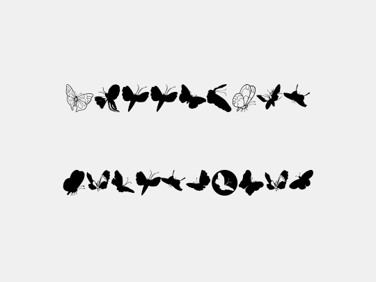 ButterFly
