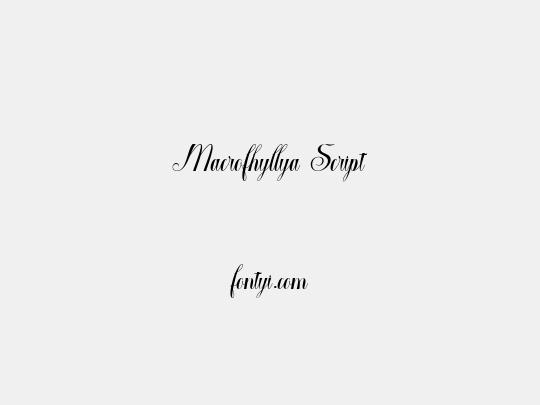 Macrofhyllya Script