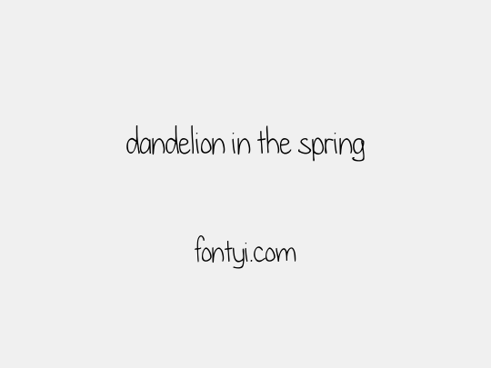 dandelion in the spring