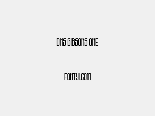 DNS Gibsons One