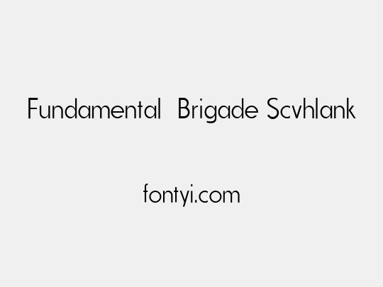 Fundamental  Brigade Scvhlank