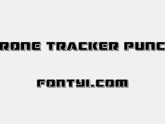 Drone Tracker Punch