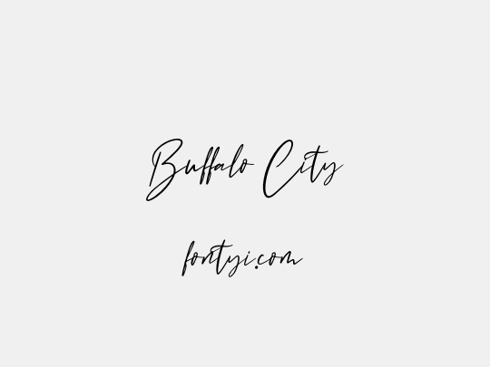 Buffalo City