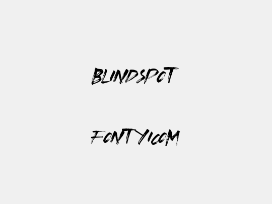 Blindspot