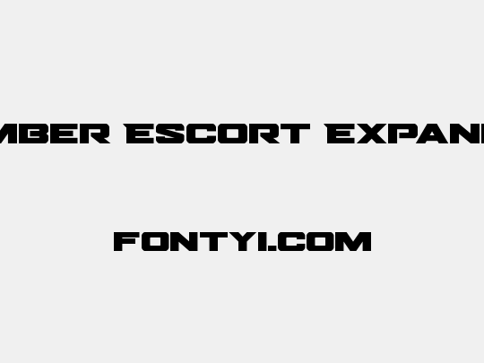 Bomber Escort Expanded