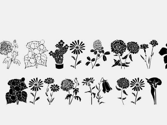 DT Flowers 1