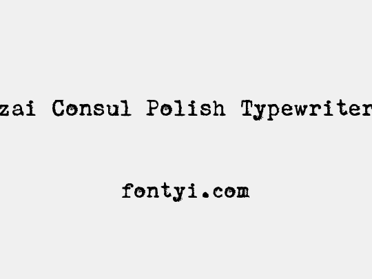zai Consul Polish Typewriter