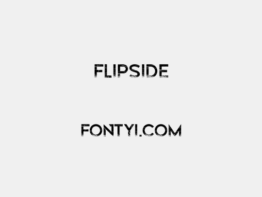 Flipside