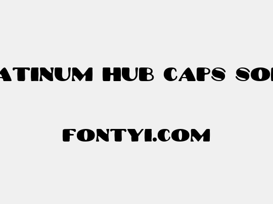 Platinum Hub Caps Solid