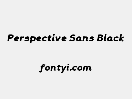 Perspective Sans Black