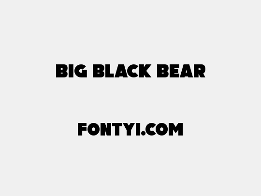 Big Black Bear