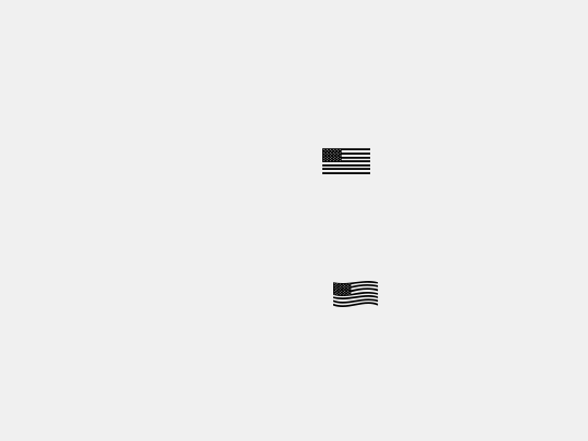 US Flag