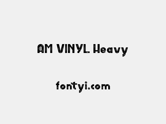 AM VINYL Heavy