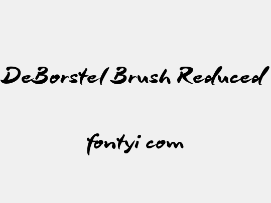 DeBorstel Brush Reduced