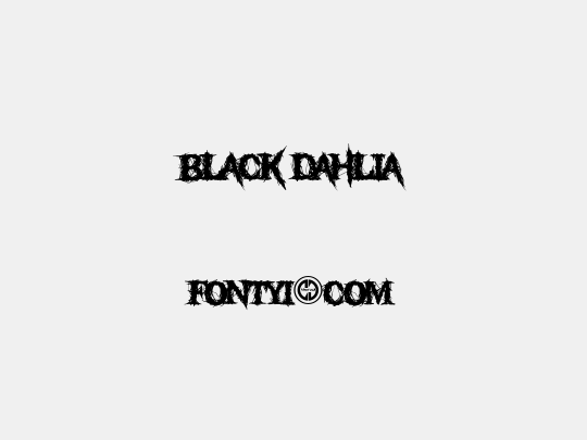 Black Dahlia