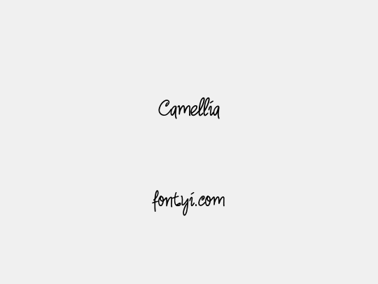 Camellia