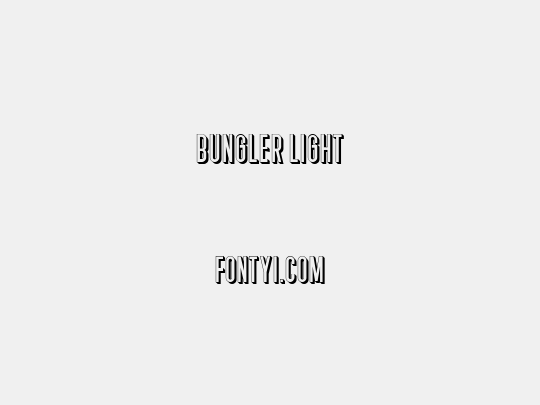 Bungler Light