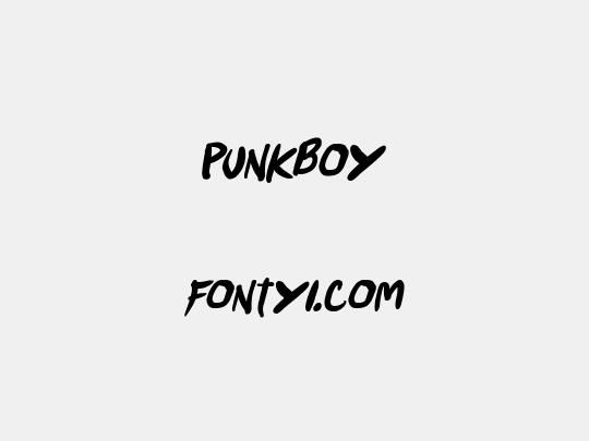 Punkboy