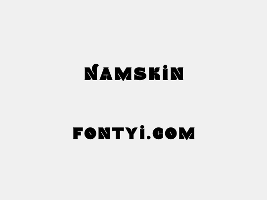 Namskin