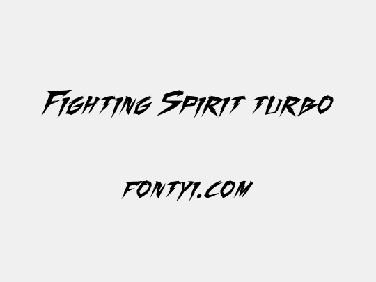 Fighting Spirit turbo