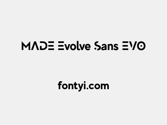 MADE Evolve Sans EVO