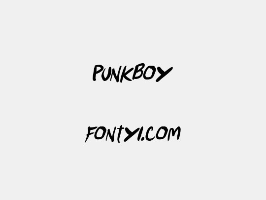 Punkboy