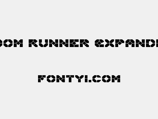 Zoom Runner Expanded