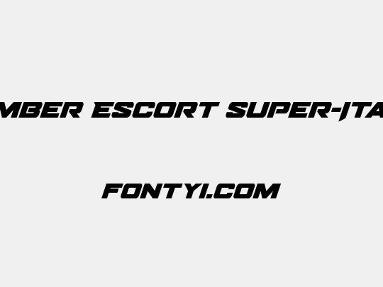 Bomber Escort Super-Italic
