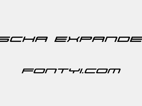 911 Porscha Expanded Italic