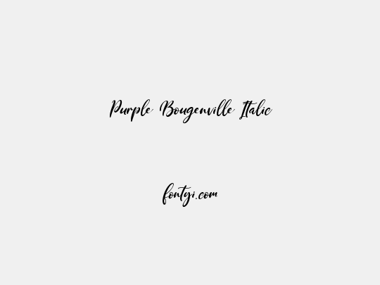 Purple Bougenville Italic