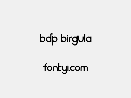 BDP Birgula
