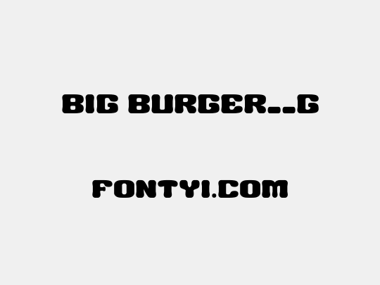 BIG BURGER__G