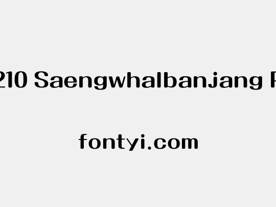 210 Saengwhalbanjang R