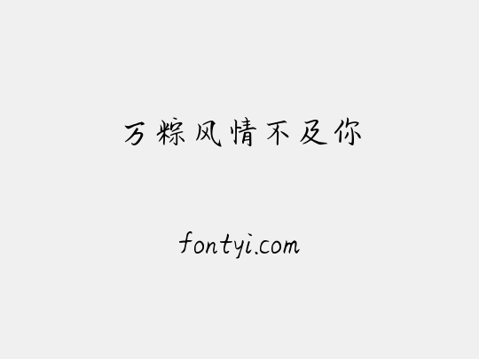 万粽风情不及你